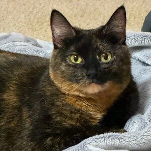 Meet your Posher, Holly